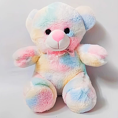 10 inch Rainbow Teddy Bear