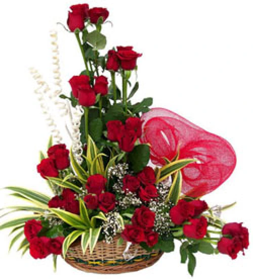 Red Roses delivery in Hyderabad