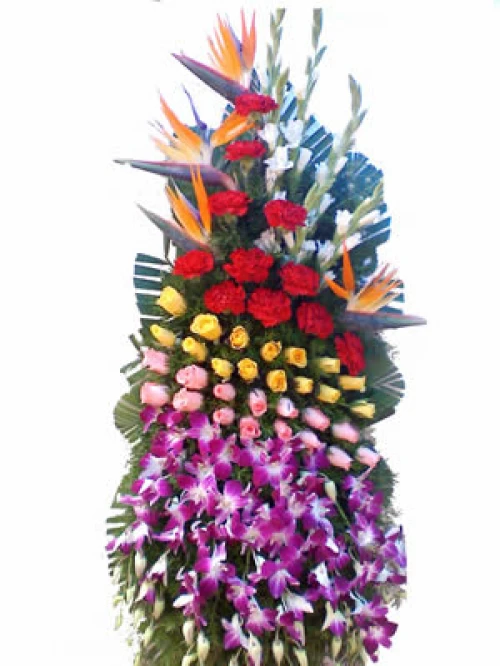 Door delivery Flowers in Yousufguda