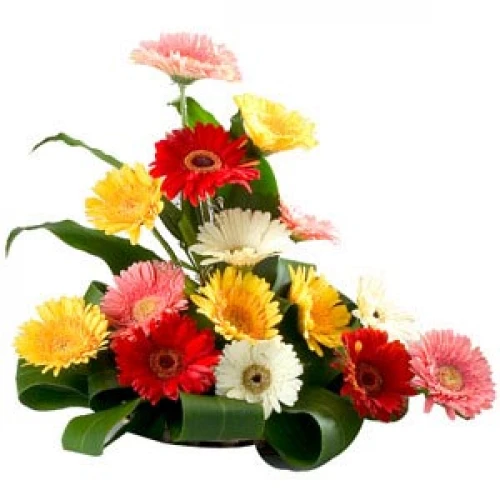 Flower Gift delivery Hyderabad