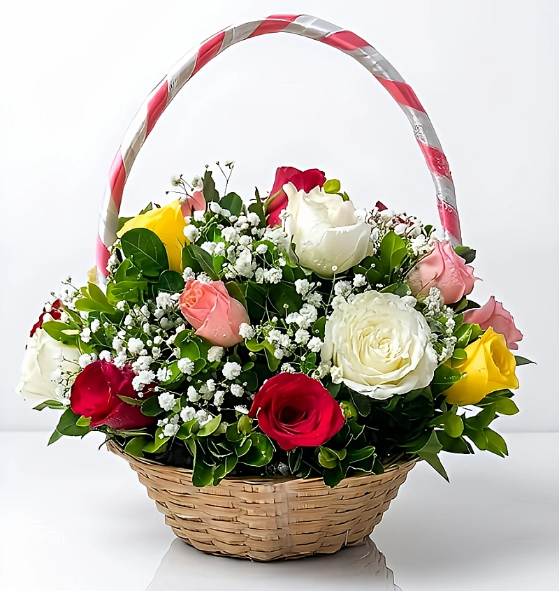 Send Mixed Roses to Moti Nagar